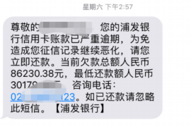 凤凰凤凰讨债公司服务